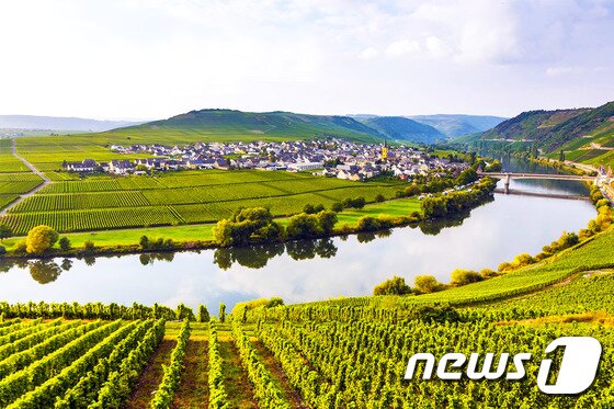 본문 이미지 - 프로방스의 시골 풍경이 주는 따뜻한 정취를 느낄 수 있는 손 강과 론 강을 따라 여행하는 일정으로 유명 와인 산지들이 곳곳에 펼쳐진다. (아마워터웨이즈 페이스북 출처) ⓒ News1travel