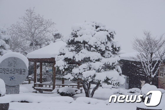본문 이미지 - 23~24일까지 이틀간 30cm 안팎의 눈이 쌓인 전북지역이 강풍과 한파까지 겹치면서 꽁꽁 얼었다. 24일 기상청에 따르면 이날 정오 현재 전북지역 적설량은 오후 3시 정읍 37.5cm를 최고로 고창읍 35cm 등 올들어 최대 폭설이 내렸다. 24일 오후 3시 현재 35cm 눈이 내린 고창읍  판소리 박물관 입구. ⓒ News1 박제철 기자