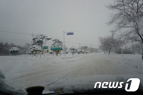 본문 이미지 - 24일 대설경보가 내려진 가운데 23~24일 오후 4시까지 전북 서해안 지역에는 정읍 37.5cm를 최고 기록으로 고창 35cm 등 서해안 지역 일대에 폭설이 내렸다. 폭설이 내린 고창읍 주요도로. ⓒ News1 박제철 기자