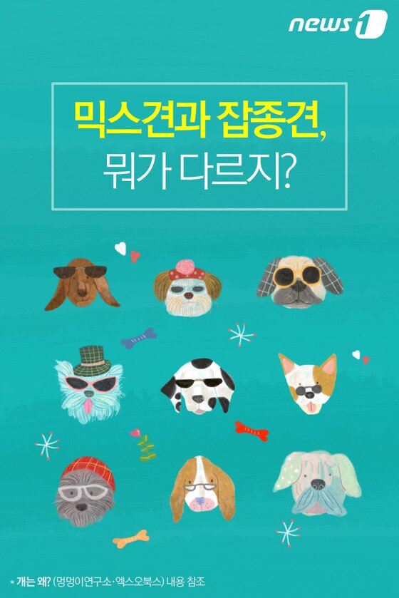 본문 이미지 - ⓒ News1