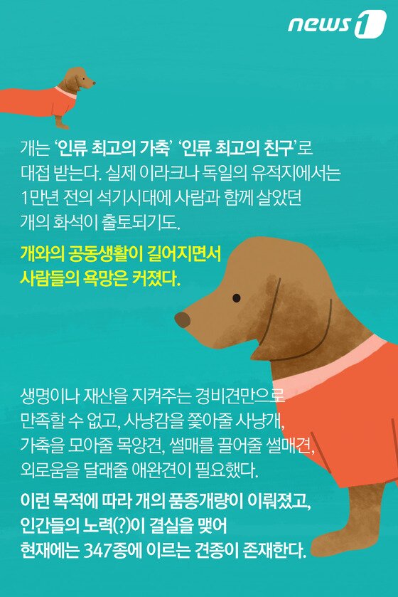 본문 이미지 - ⓒ News1