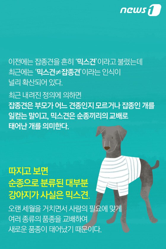본문 이미지 - ⓒ News1