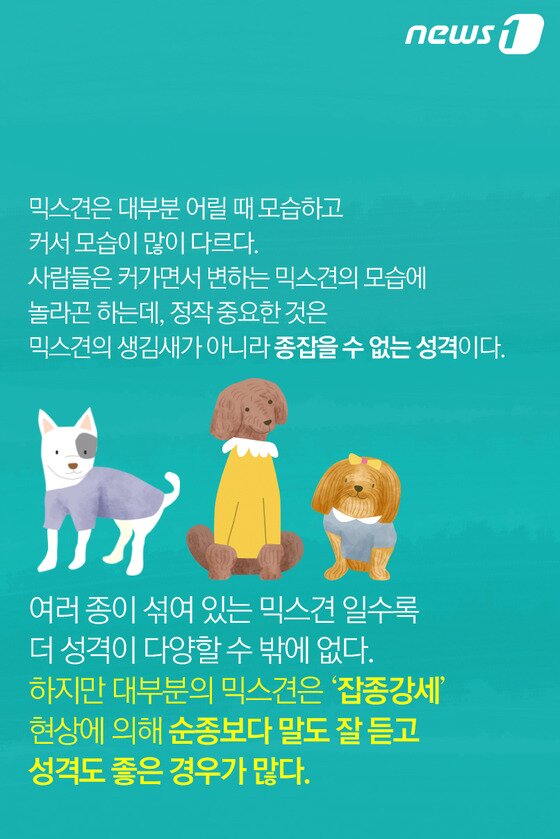 본문 이미지 - ⓒ News1