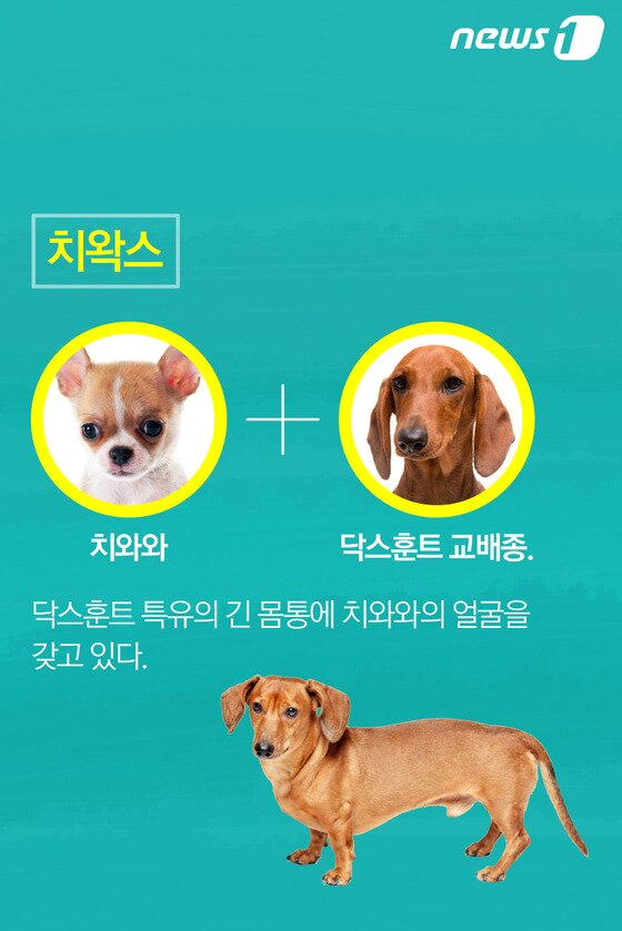 본문 이미지 - ⓒ News1