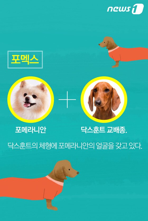 본문 이미지 - ⓒ News1