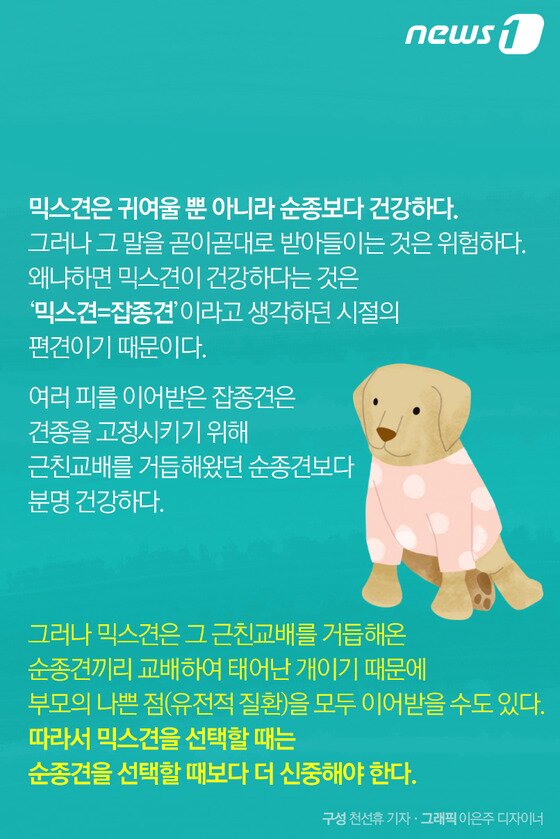 본문 이미지 - ⓒ News1