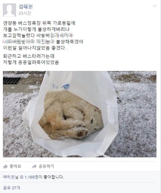 얼어 죽은 강아지가 비닐봉투에서 발견돼 네티즌들의 공분을 사고 있다.&#40;사진 페이스북 여주사람들 페이지 캡처&#41;ⓒ News1