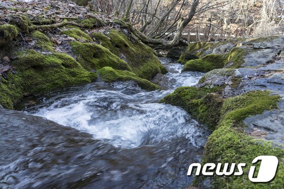 본문 이미지 - 강원 태백시 창죽동 금대봉골에 위치해 있는 검룡소. ⓒ News1 하중천 기자