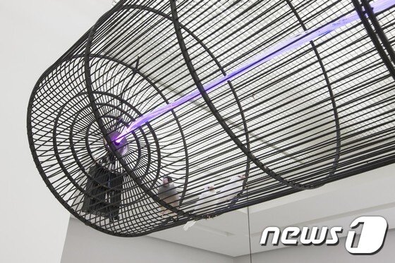 본문 이미지 - 심문섭 회고전 '재현' 중 '프리젠테이션' 연작 (사진제공 아라리오 갤러리)