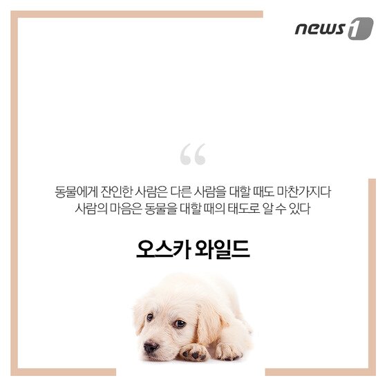 본문 이미지 - ⓒ News1