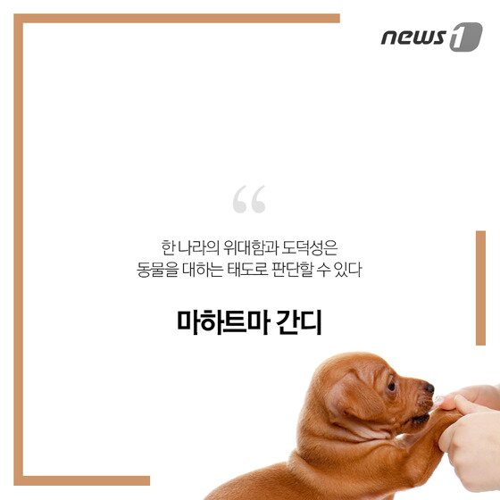 본문 이미지 - ⓒ News1