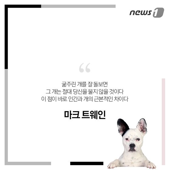 본문 이미지 - ⓒ News1