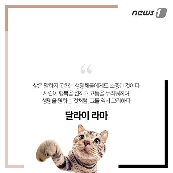 본문 이미지 - ⓒ News1