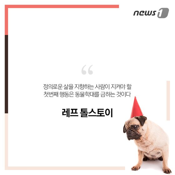 본문 이미지 - ⓒ News1