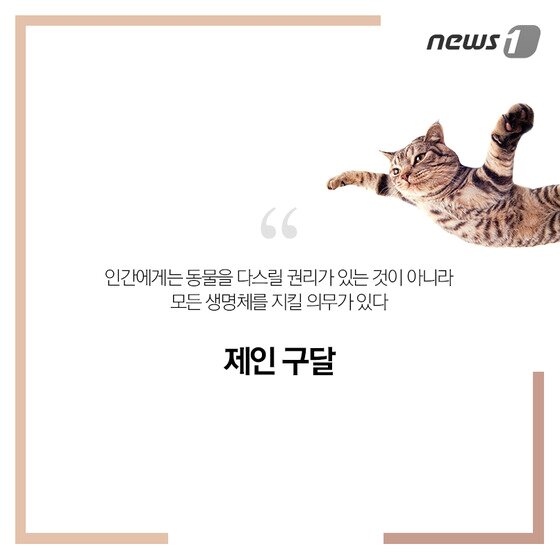 본문 이미지 - ⓒ News1