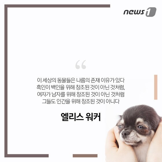 본문 이미지 - ⓒ News1