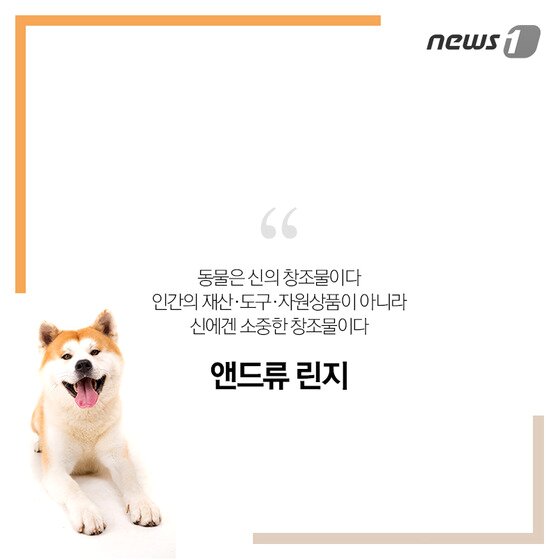 본문 이미지 - ⓒ News1