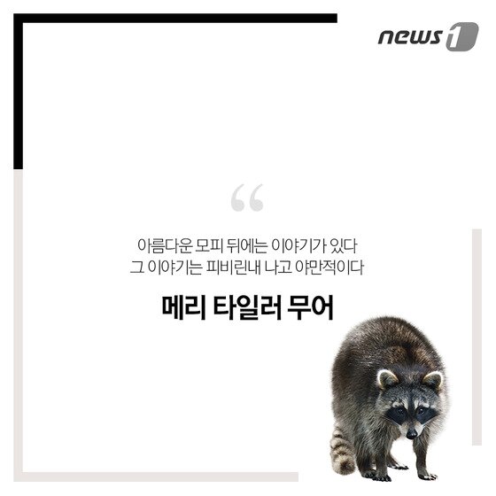 본문 이미지 - ⓒ News1