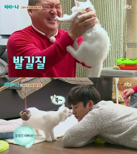 본문 이미지 - 강호동과 서인국이 고양이 차별에 극과극 반응을 보였다. ⓒ News1star/JTBC '마리와 나' 캡처