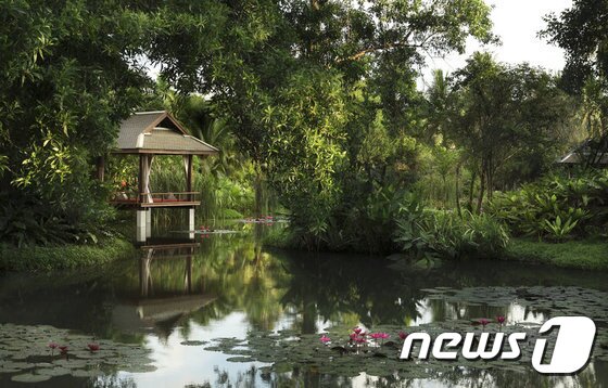 본문 이미지 - 아름다운 바다전경과 코코넛 야자수와 재스민, 난초가 잘 가꿔진 정원이 펼쳐지는 휴양형 리조트, 아난타라 푸껫(허니문리조트 제공) ⓒ News1 travel