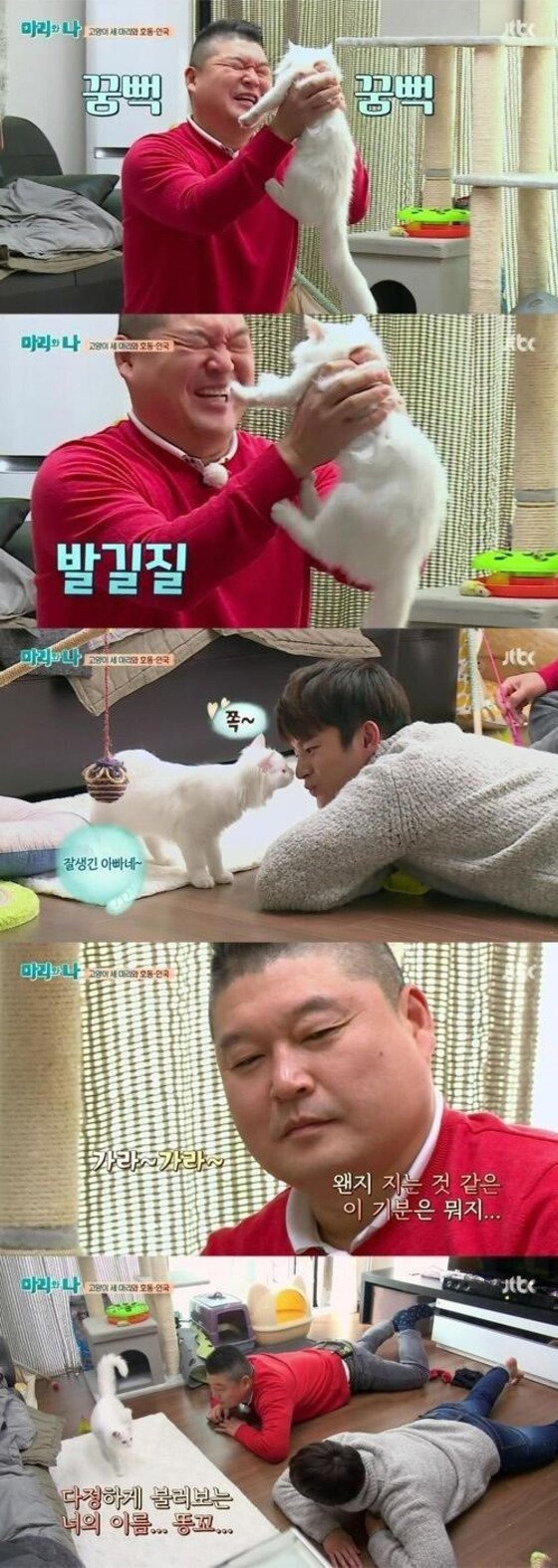 본문 이미지 - 강호동 서인국이 애완 고양이에게 정반대의 대우를 받았다.ⓒ News1star/ JTBC '마리와 나' 방송화면 캡처