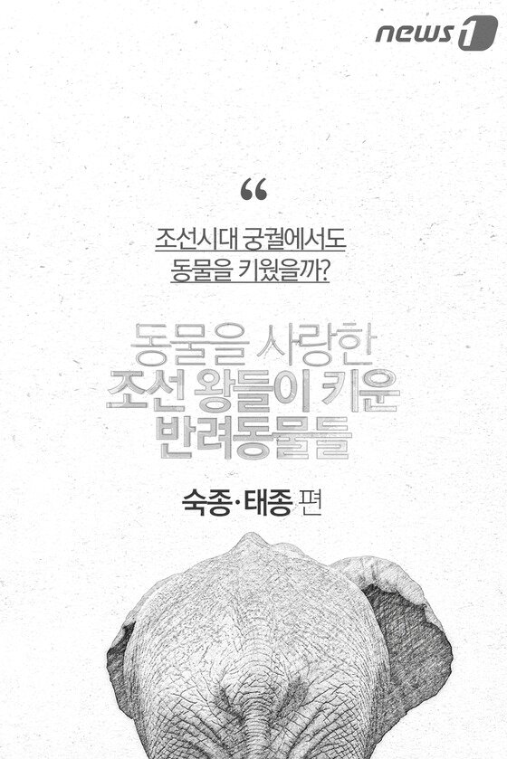 본문 이미지 - ⓒ News1