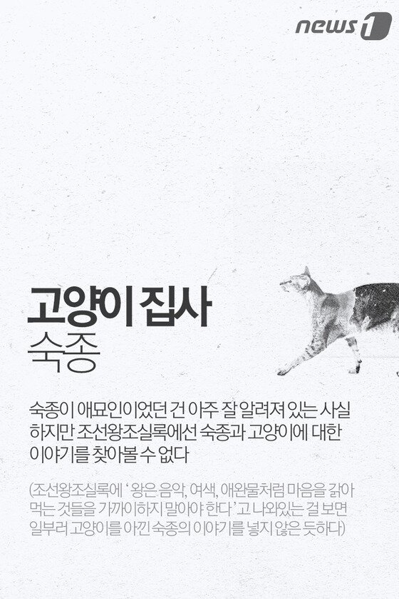 본문 이미지 - ⓒ News1