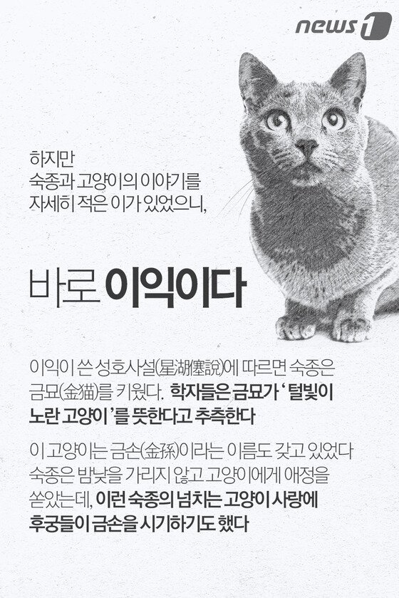 본문 이미지 - ⓒ News1