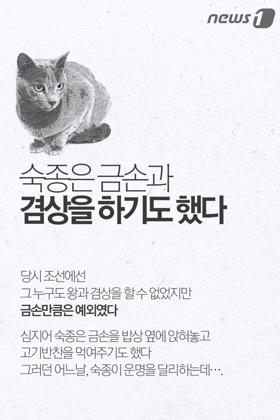 본문 이미지 - ⓒ News1