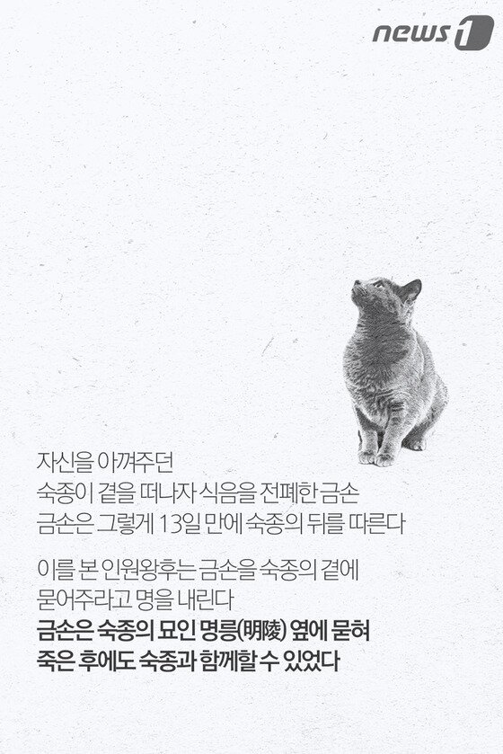 본문 이미지 - ⓒ News1