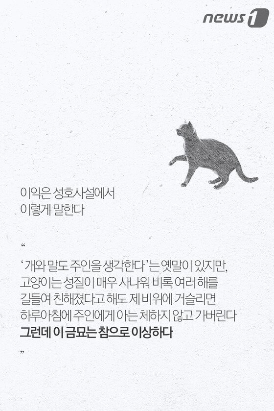 본문 이미지 - ⓒ News1