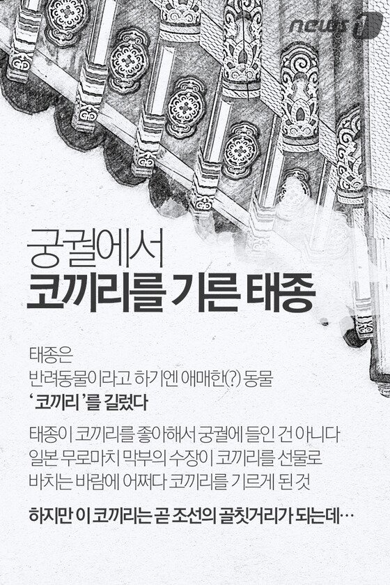 본문 이미지 - ⓒ News1