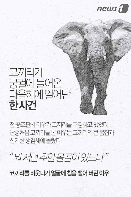 본문 이미지 - ⓒ News1