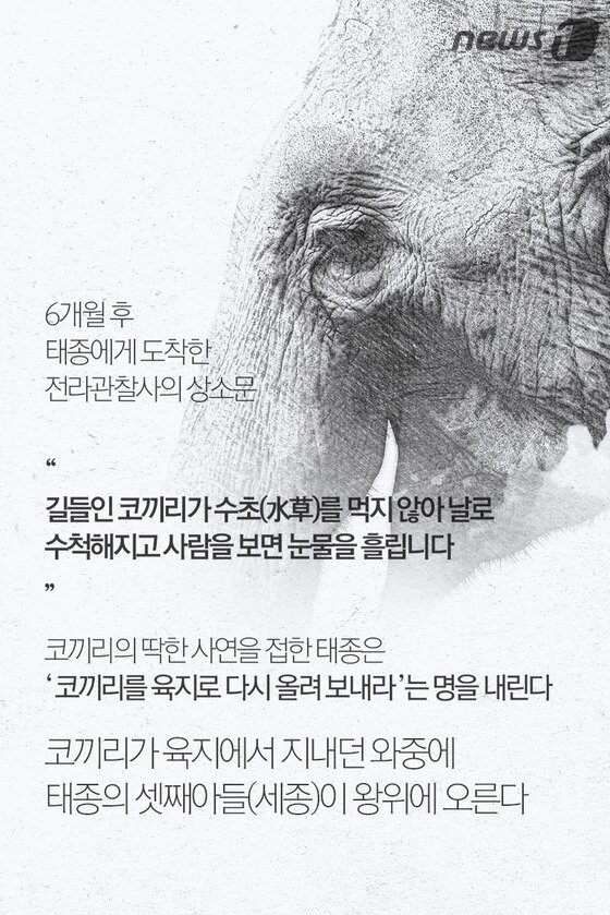 본문 이미지 - ⓒ News1