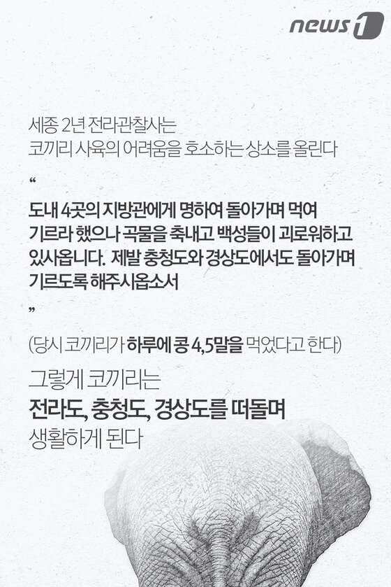 본문 이미지 - ⓒ News1