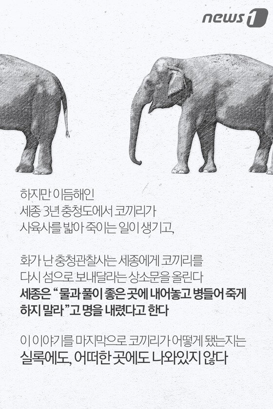 본문 이미지 - ⓒ News1