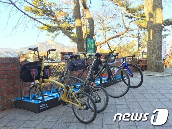 본문 이미지 - 자전거의 드레일러나 스포그가 전혀 닿지 않아 자전거 흠집이 걱정없는 거치대. (콤 제공) 뉴스1트래블 ⓒ News1 travel