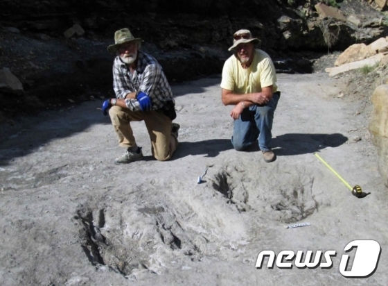 1억 년 전 지층에서 발견된 육식공룡 구애행위 화석. 사진-문화재청 제공  © News1