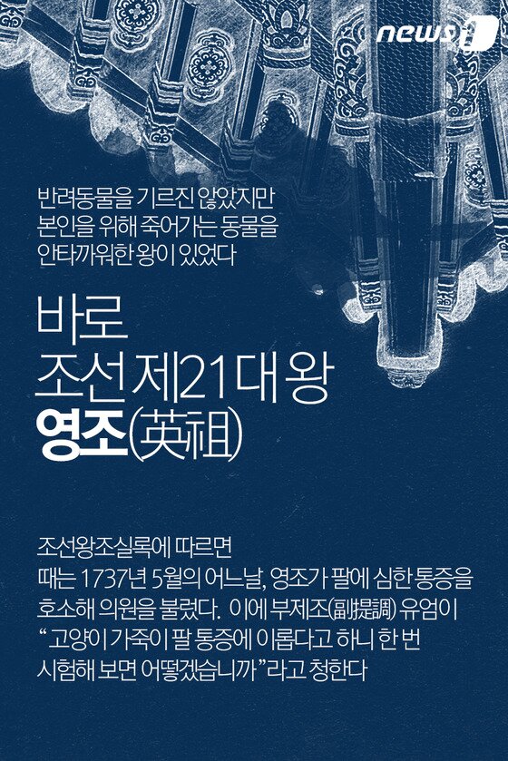 본문 이미지 - ⓒ News1