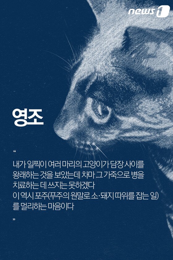 본문 이미지 - ⓒ News1