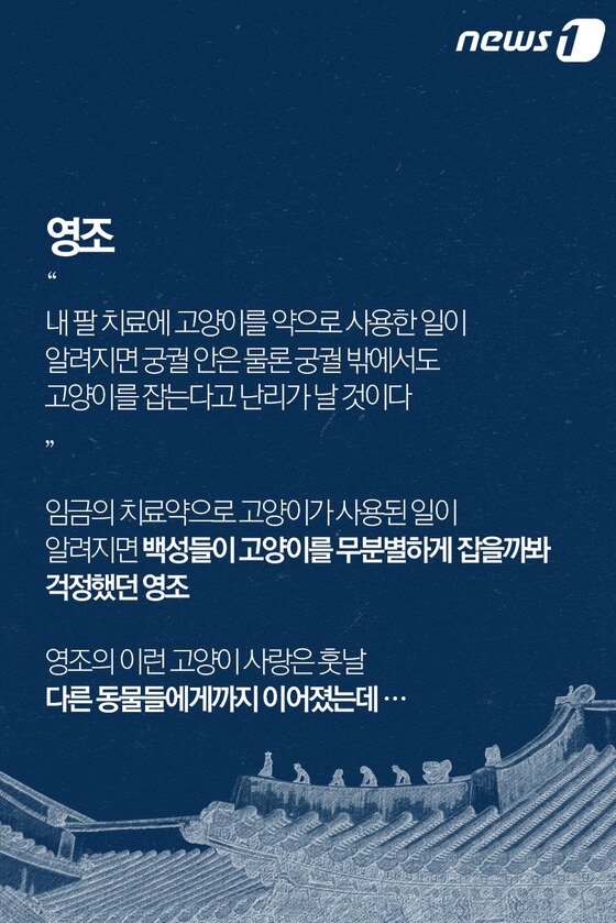 본문 이미지 - ⓒ News1