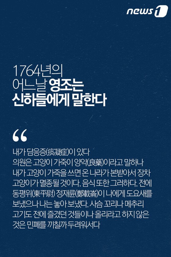 본문 이미지 - ⓒ News1