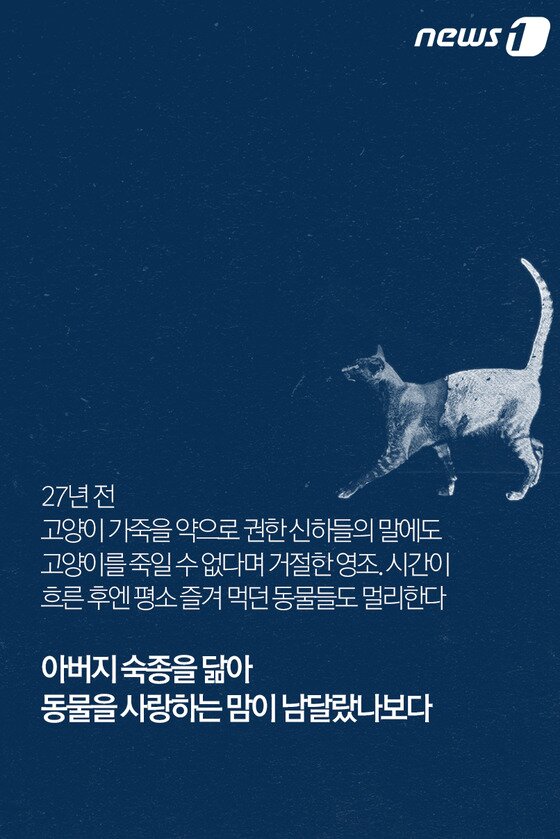 본문 이미지 - ⓒ News1