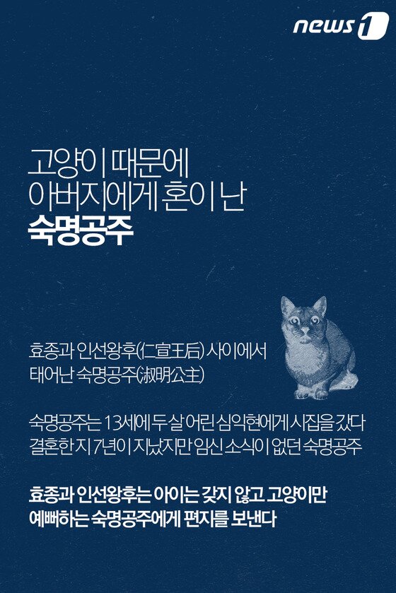 본문 이미지 - ⓒ News1