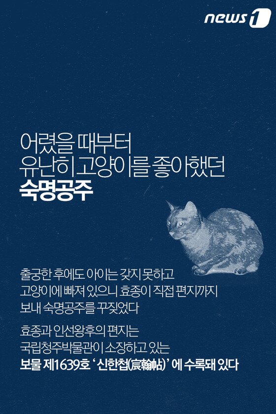 본문 이미지 - ⓒ News1