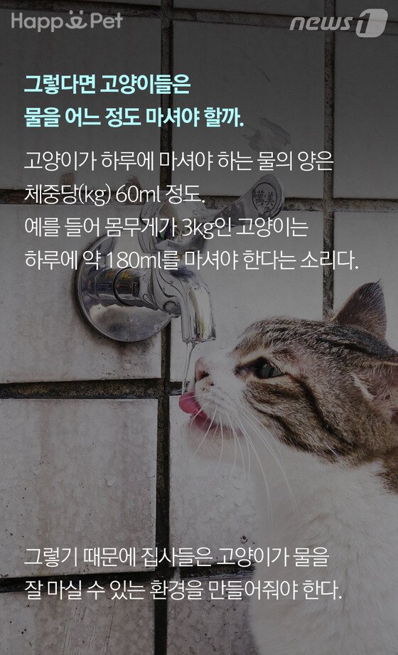 본문 이미지 -  