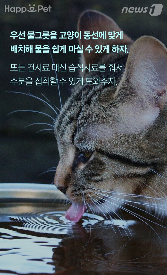 본문 이미지 -  