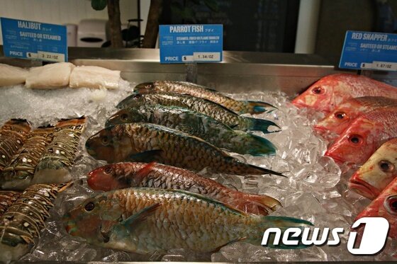 본문 이미지 - 힐튼 괌 피셔맨스 코브ⓒ News1 윤슬빈 기자