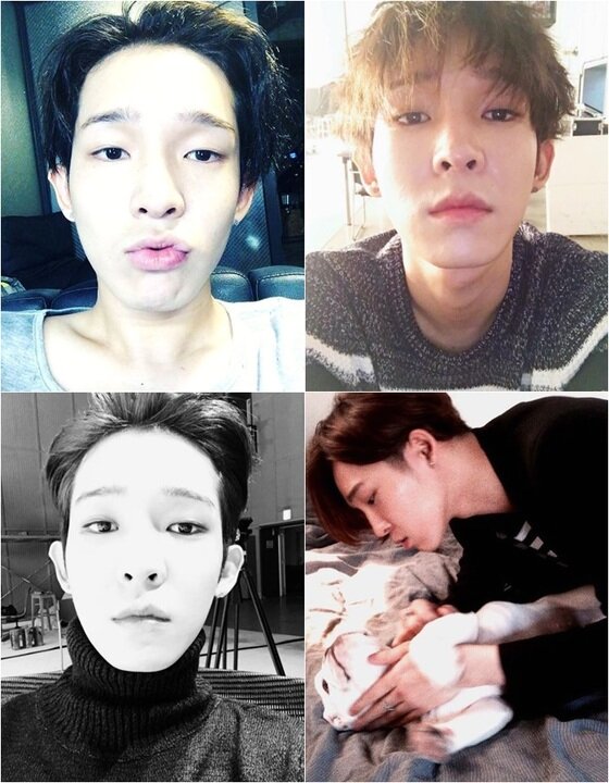 본문 이미지 - 남태현의 일상 사진이 주목받고 있다. ⓒ News1star / 남태현 SNS