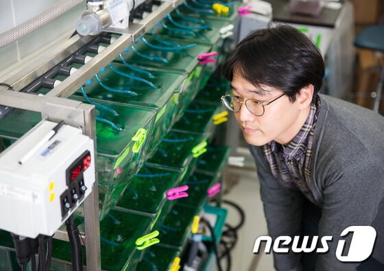 권태준 교수가 서양발톱개구리의 수조를 들여다 보고 있다. © News1